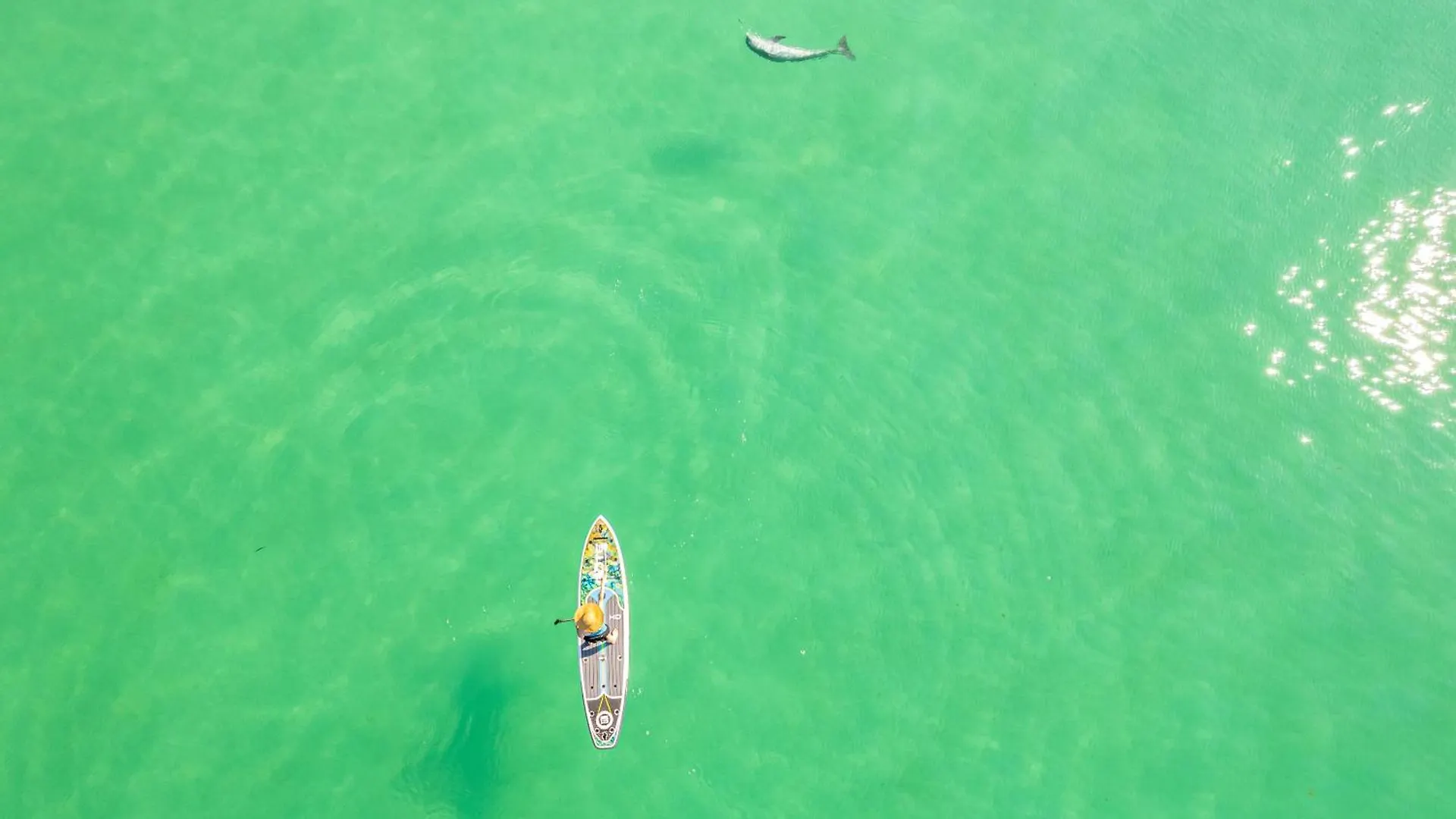 Apartment Sandpiper Cove 9214- By Holiday Isle Properties Destin United States