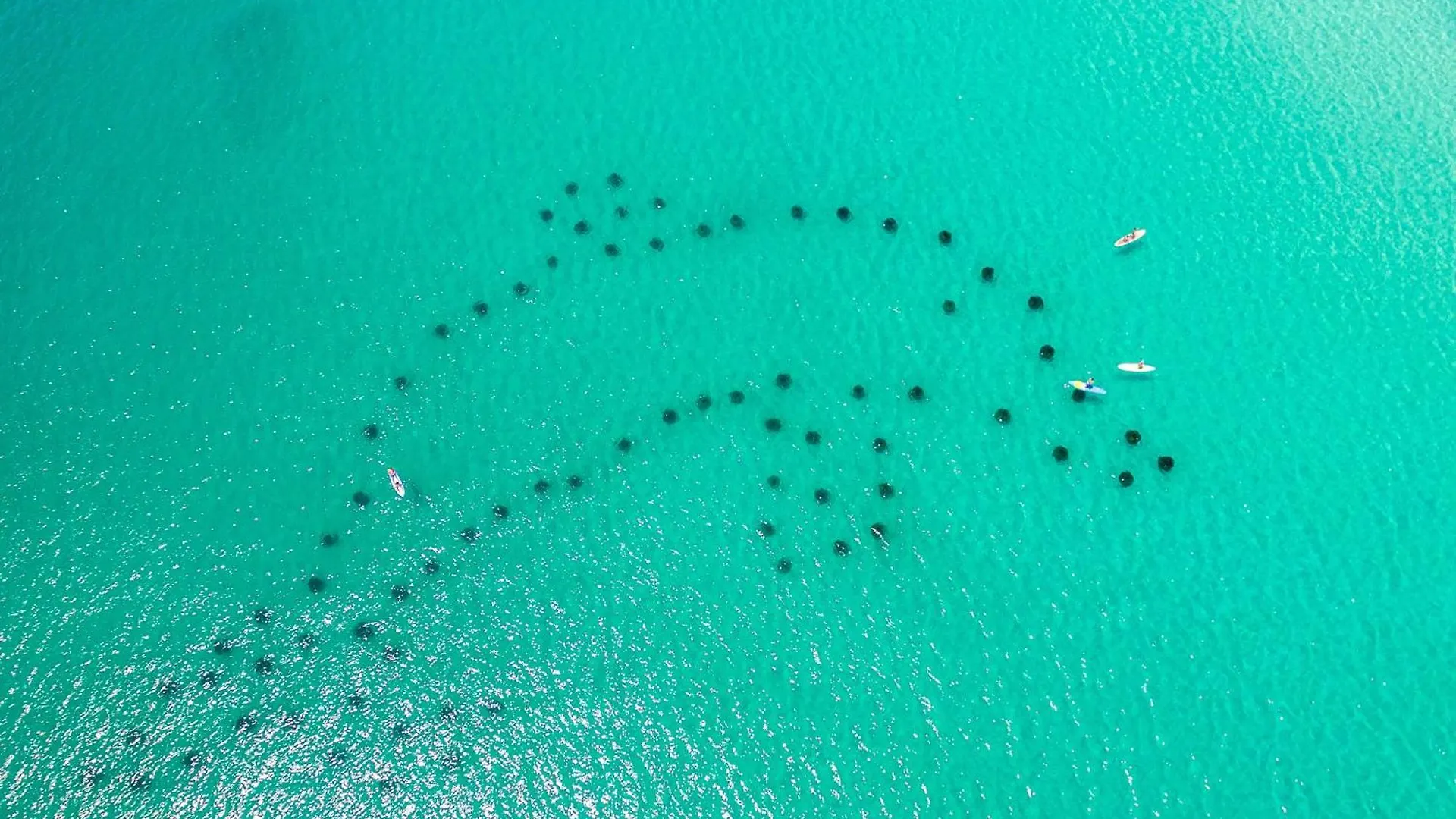 Sandpiper Cove 9214- By Holiday Isle Properties Destin United States